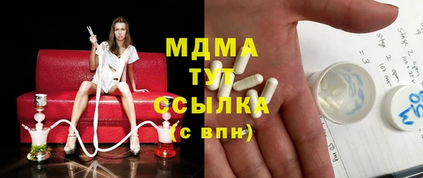 гашик Алексин