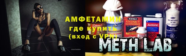 гашик Алексин