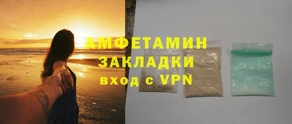 гашик Алексин