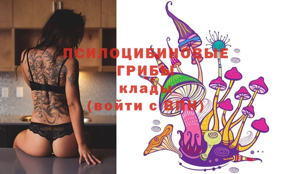 гашик Алзамай