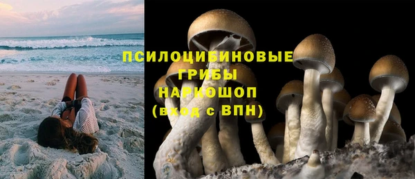 гашик Алексин