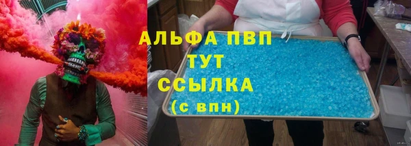гашик Алексин