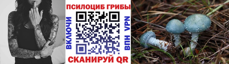 Галлюциногенные грибы Psilocybe  Пермь 